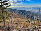 photo thumbnail #11
