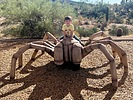 photo thumbnail #7