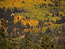 photo thumbnail #14
