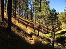 photo thumbnail #15