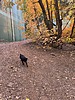 photo thumbnail #2