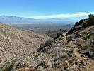 photo thumbnail #6