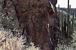 photo thumbnail #11