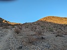 photo thumbnail #1