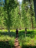 photo thumbnail #4
