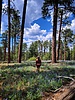 photo thumbnail #9