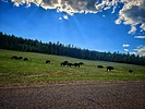 photo thumbnail #12
