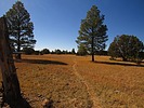 photo thumbnail #14