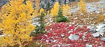 photo thumbnail #12