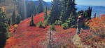 photo thumbnail #13