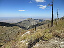 photo thumbnail #6