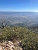 photo thumbnail #12