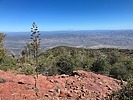 photo thumbnail #5