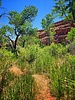 photo thumbnail #5