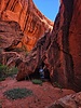 photo thumbnail #14