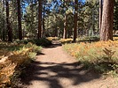 photo thumbnail #6