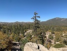 photo thumbnail #2