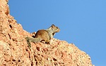 2023-10-18 :3: Papago Park Walk :: outdoor_lover