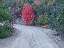 photo thumbnail #5