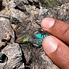 photo thumbnail #2