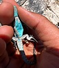 photo thumbnail #5