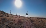 photo thumbnail #1