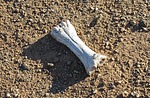 photo thumbnail #3