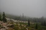 photo thumbnail #12