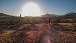 photo thumbnail #1
