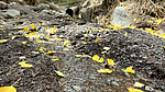 photo thumbnail #15