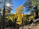 photo thumbnail #2
