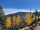 photo thumbnail #5