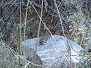 2023-10-22 :2: Rogers Canyon Ruins :: wallyfrack