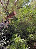 photo thumbnail #14