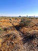 2023-10-21 :1: Hog Canyon :: ScottHika