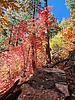 photo thumbnail #12