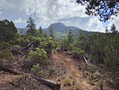 photo thumbnail #6