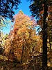 photo thumbnail #14