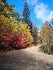 photo thumbnail #10