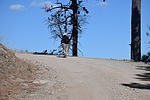 photo thumbnail #2
