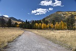 photo thumbnail #7