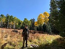 photo thumbnail #3