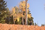 photo thumbnail #8
