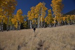 photo thumbnail #13