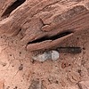 photo thumbnail #12