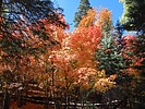 photo thumbnail #11