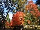 photo thumbnail #3