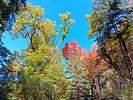 photo thumbnail #13