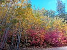 photo thumbnail #8