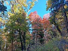 photo thumbnail #4
